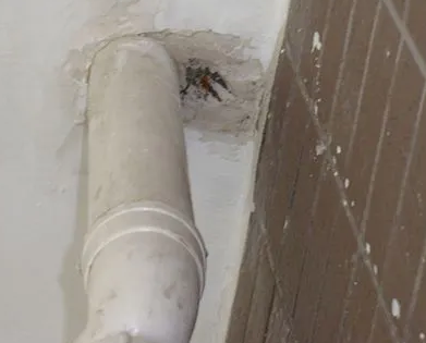 明山漏水检测哪家好